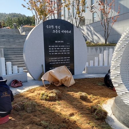 나주잔디