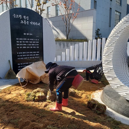 나주잔디